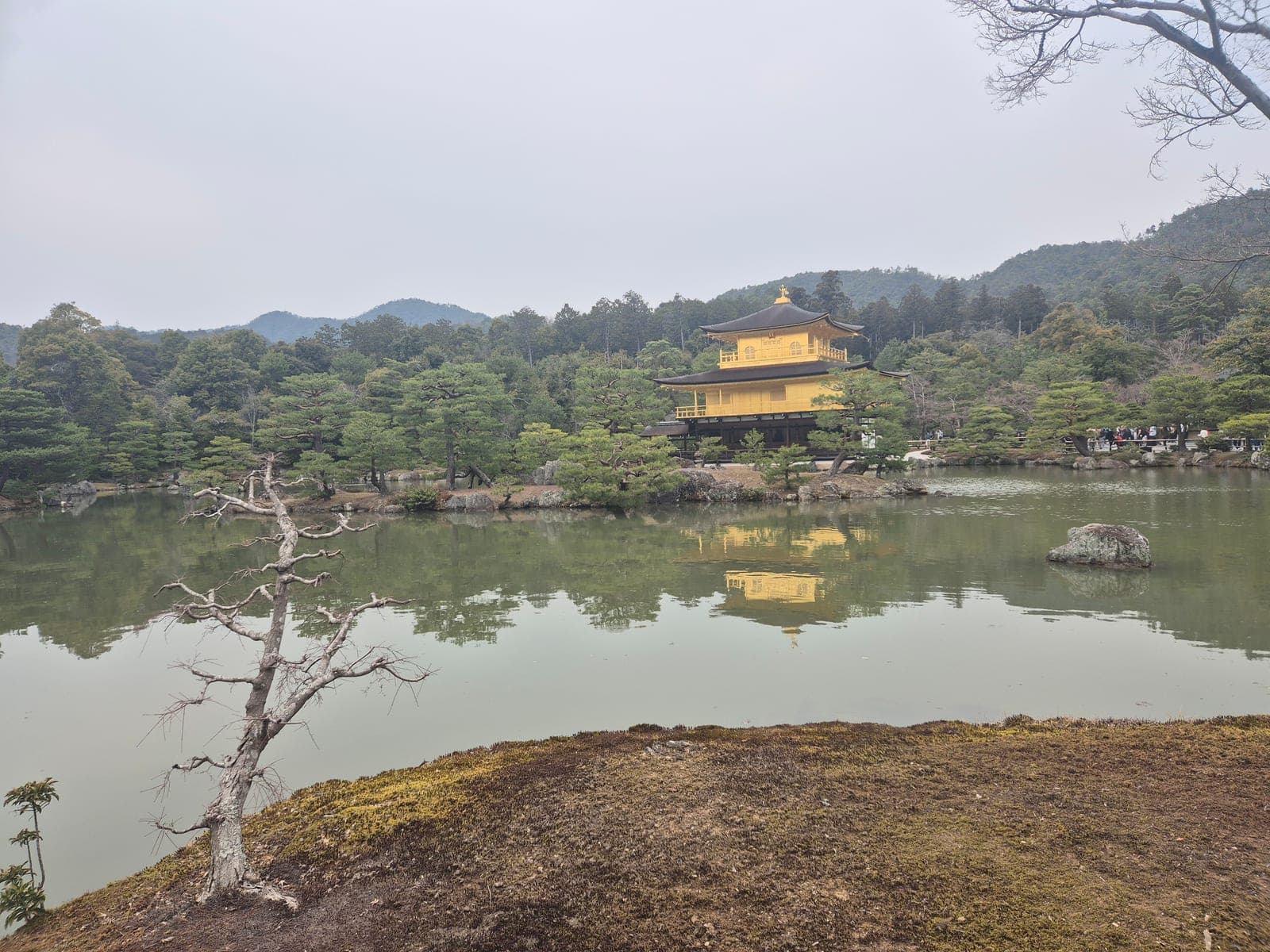 El Pabellón Dorado de Kinkaku-ji cubierto de pan de oro reflejándose en el estanque Kyoko-chi, rodeado de pinos, en Kioto